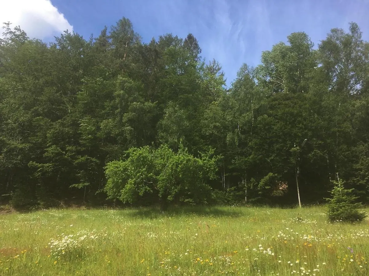 Idyllisches Haeuschen Im Gruenen Apartment Waidhaus