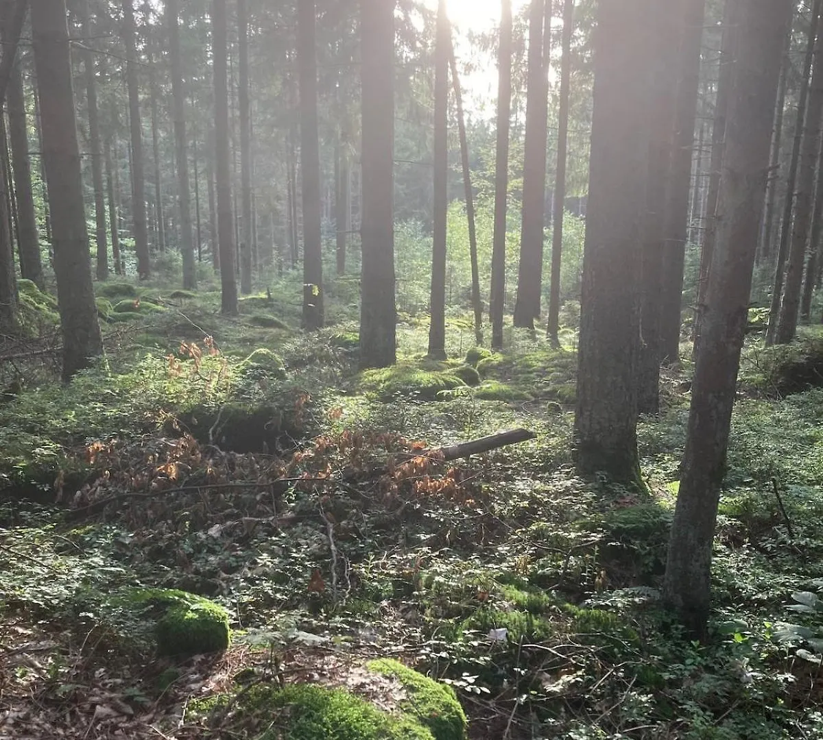 Idyllisches Haeuschen Im Gruenen Apartment Waidhaus