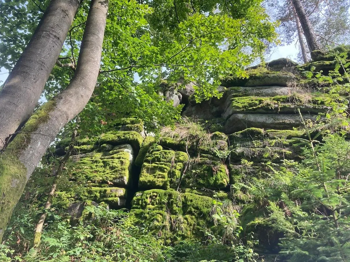 Idyllisches Haeuschen Im Gruenen Apartment Waidhaus