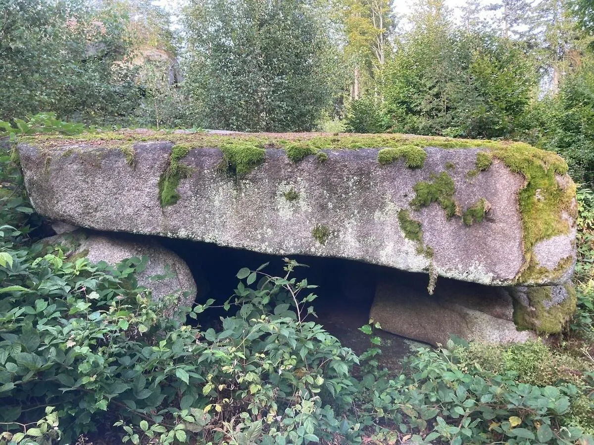 Idyllisches Haeuschen Im Gruenen Apartment Waidhaus